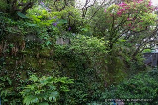 白河小峰城・外堀石垣