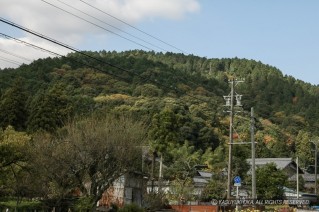 菩提山城