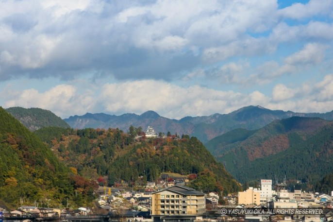 郡上八幡城遠景