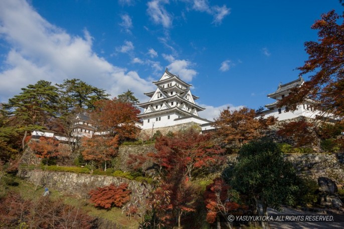 郡上八幡城