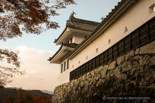 郡上八幡城