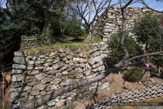 浜松城・八幡台