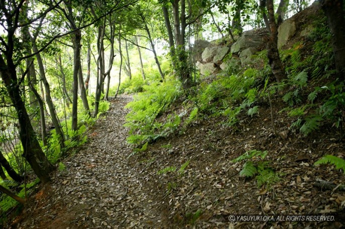 小牧山城の石垣