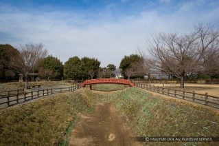 小山城・堀切