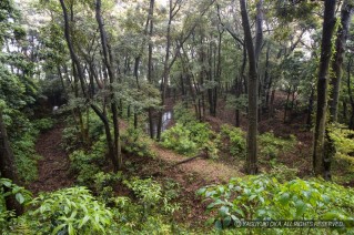 小山城・三重の三ヶ月堀