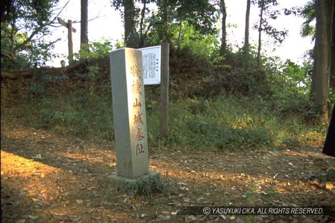 賊機山城