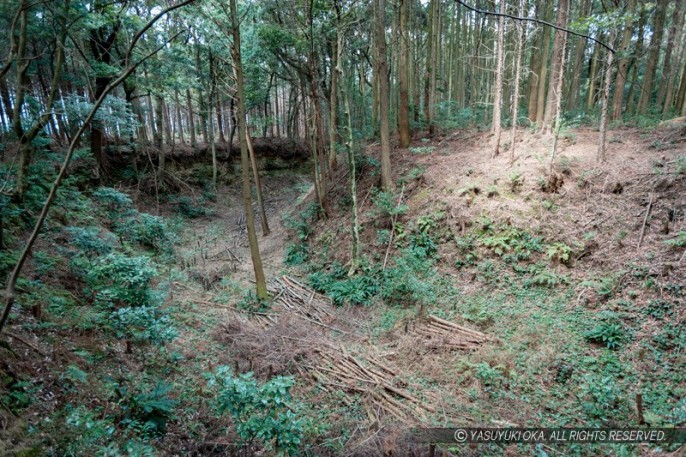 諏訪原城