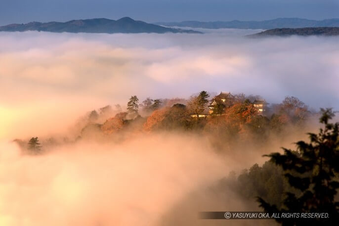 備中松山城の雲海