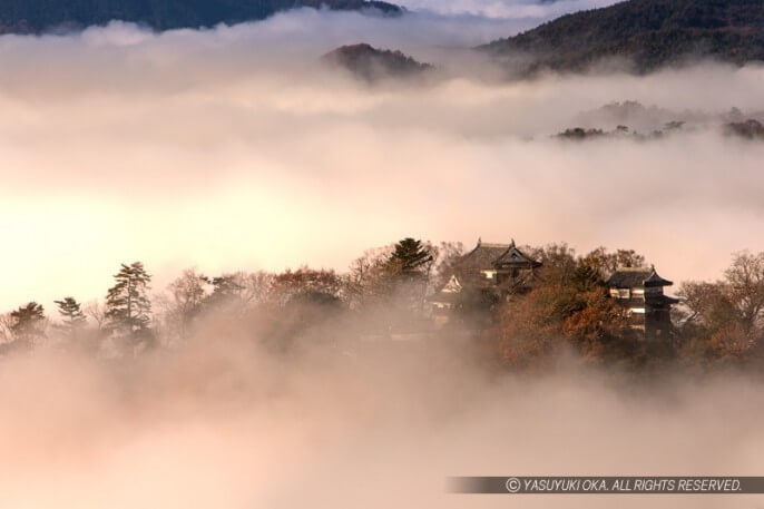 備中松山城の雲海