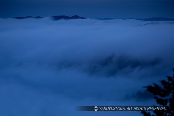 雲海に飲み込まれる備中松山城