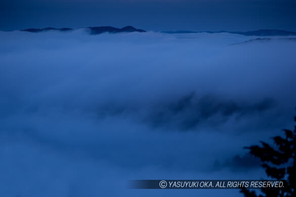 雲海に飲み込まれる備中松山城