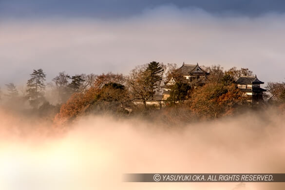 望遠400mmレンズで望む備中松山城