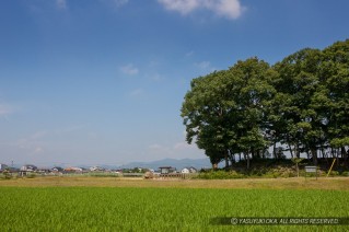 備中高松城・蛙ケ鼻築堤跡