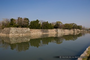広島城の内堀