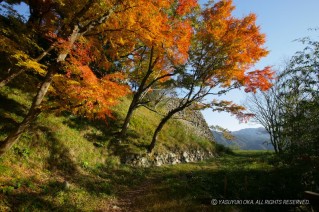 津和野城の紅葉