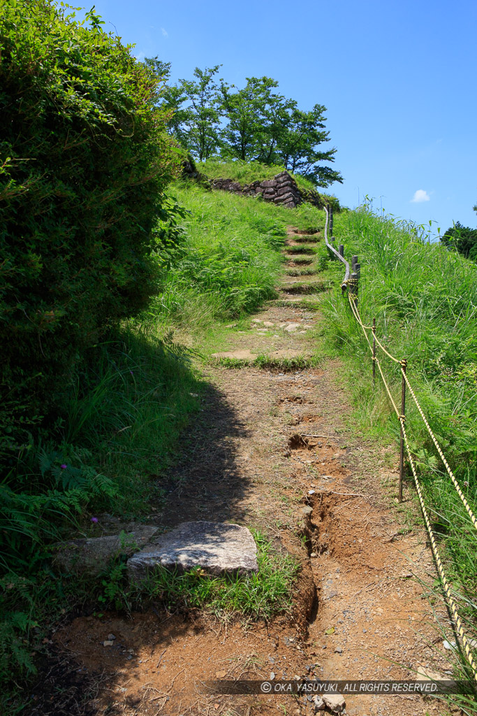 登城路