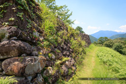 主郭石垣｜高解像度画像サイズ：8688 x 5792 pixels｜写真番号：5DSA9040｜撮影：Canon EOS 5DS