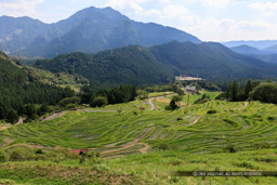 丸山千枚田｜高解像度画像サイズ：8256 x 5504 pixels｜写真番号：5DSA9187｜撮影：Canon EOS 5DS