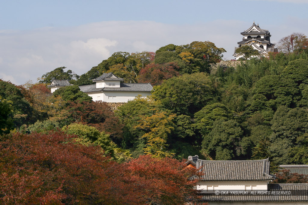 彦根城佐和口多聞櫓・天秤櫓・天守を望む・秋