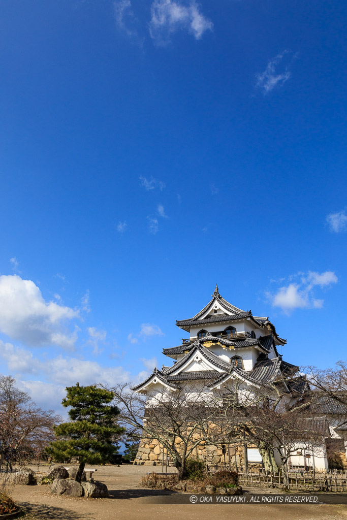 彦根城天守東面と青空