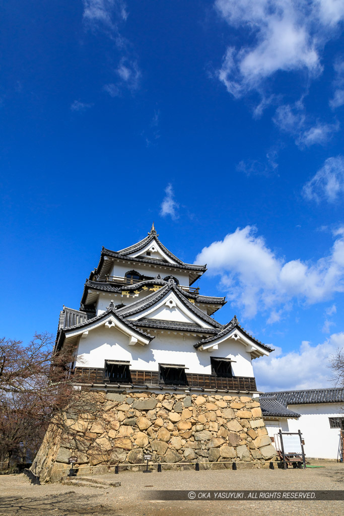 彦根城天守東面