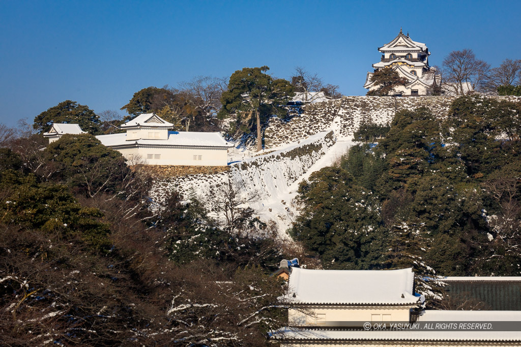 彦根城の冬景色