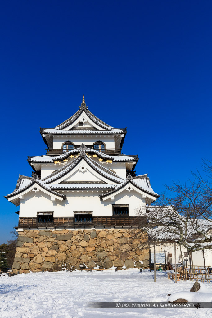 彦根城天守と雪