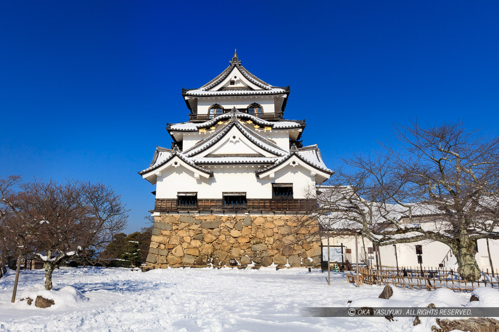 彦根城天守と雪