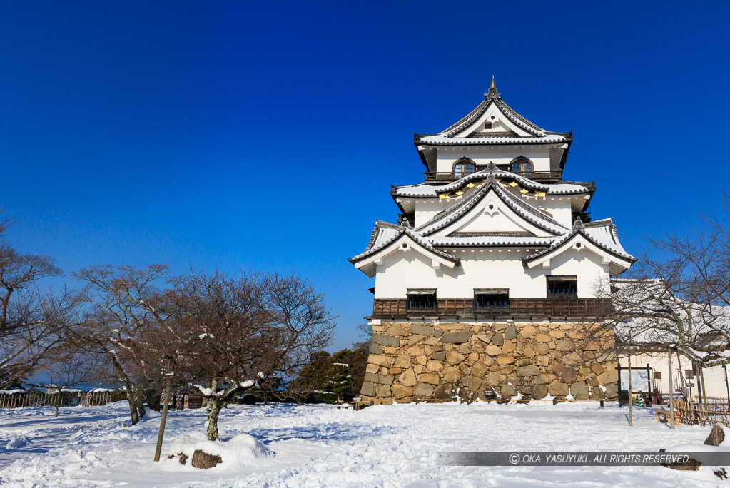 彦根城天守と雪