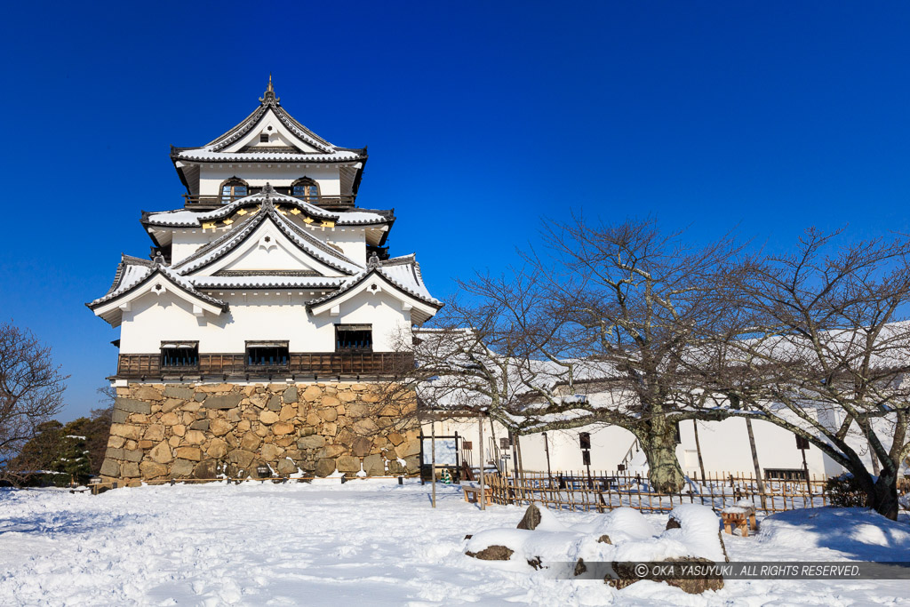 彦根城天守と雪