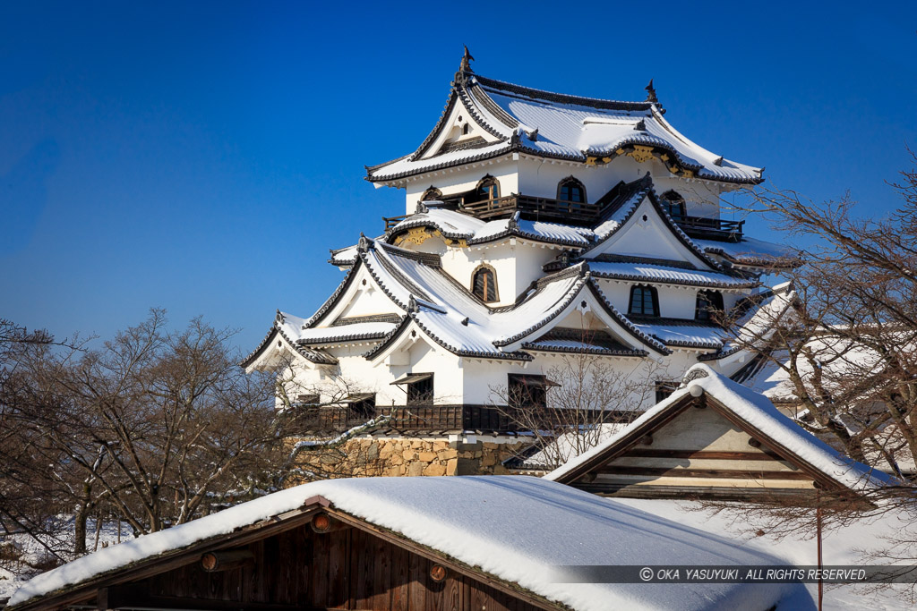 彦根城天守と雪