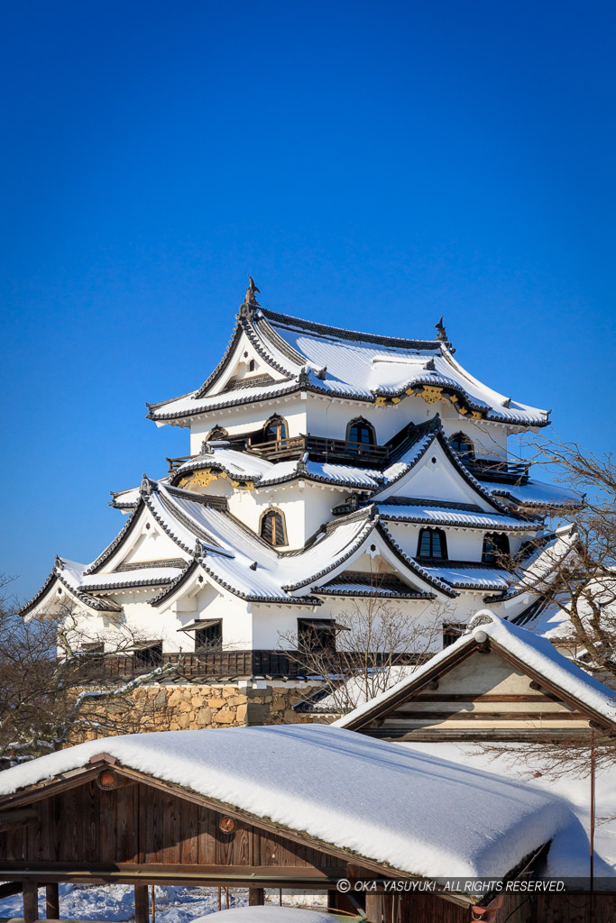 彦根城天守と雪