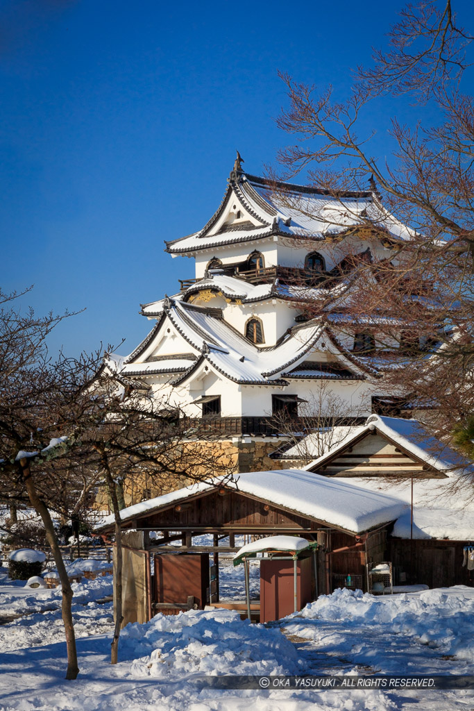 彦根城天守と雪