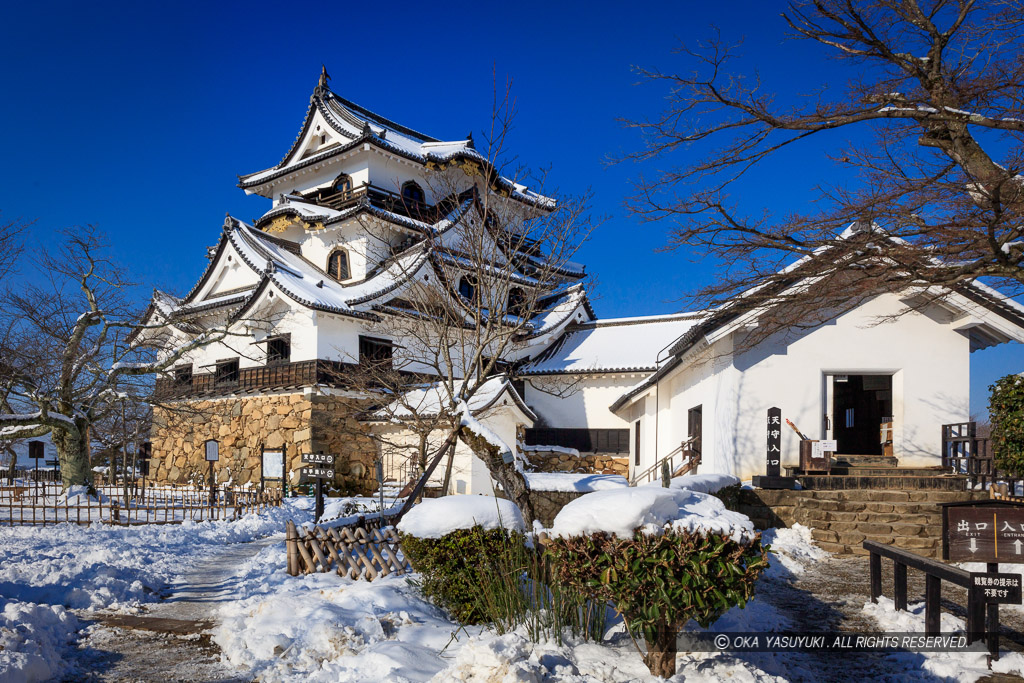 彦根城天守と雪