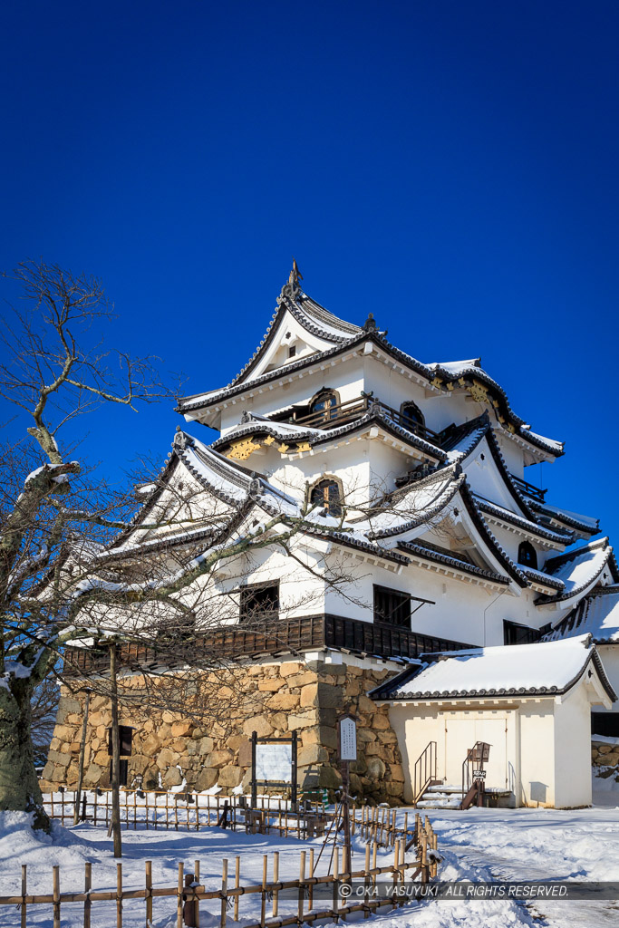 彦根城天守と雪