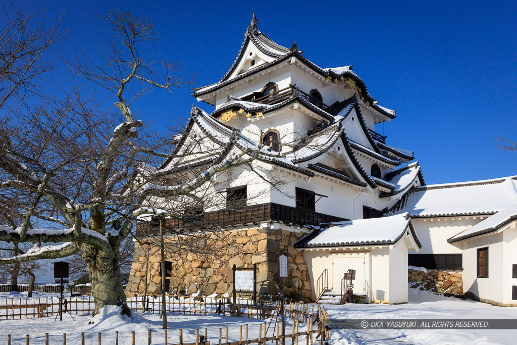 彦根城天守と雪