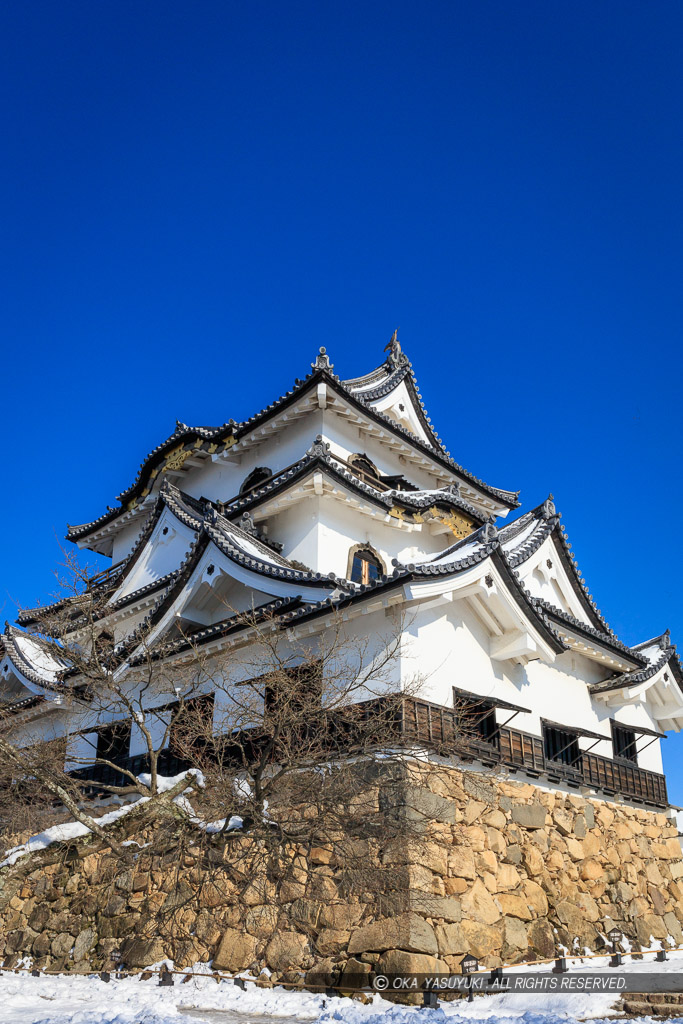 彦根城天守と雪