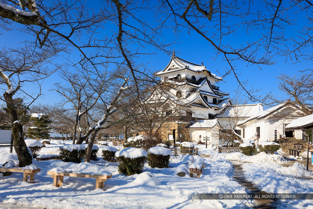 雪の彦根城天守