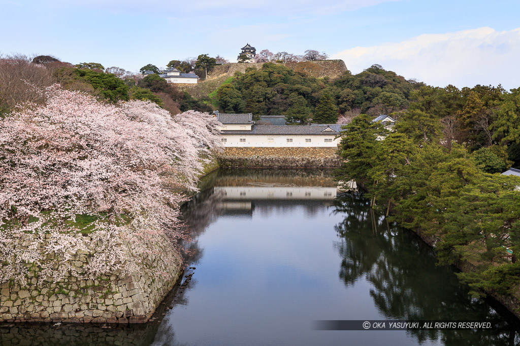 彦根城佐和口多聞櫓・天秤櫓・天守を望む・春