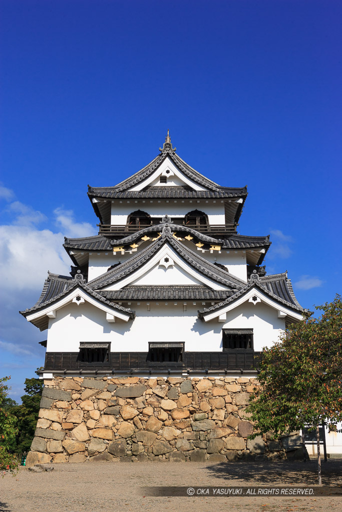 彦根城天守東面正面・夏