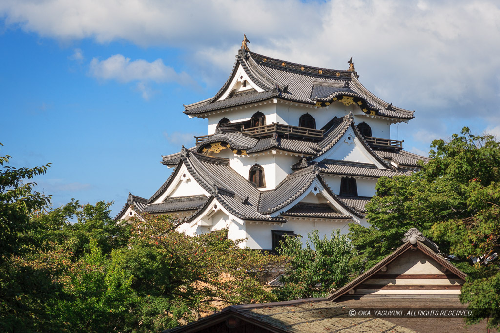 彦根城天守と夏