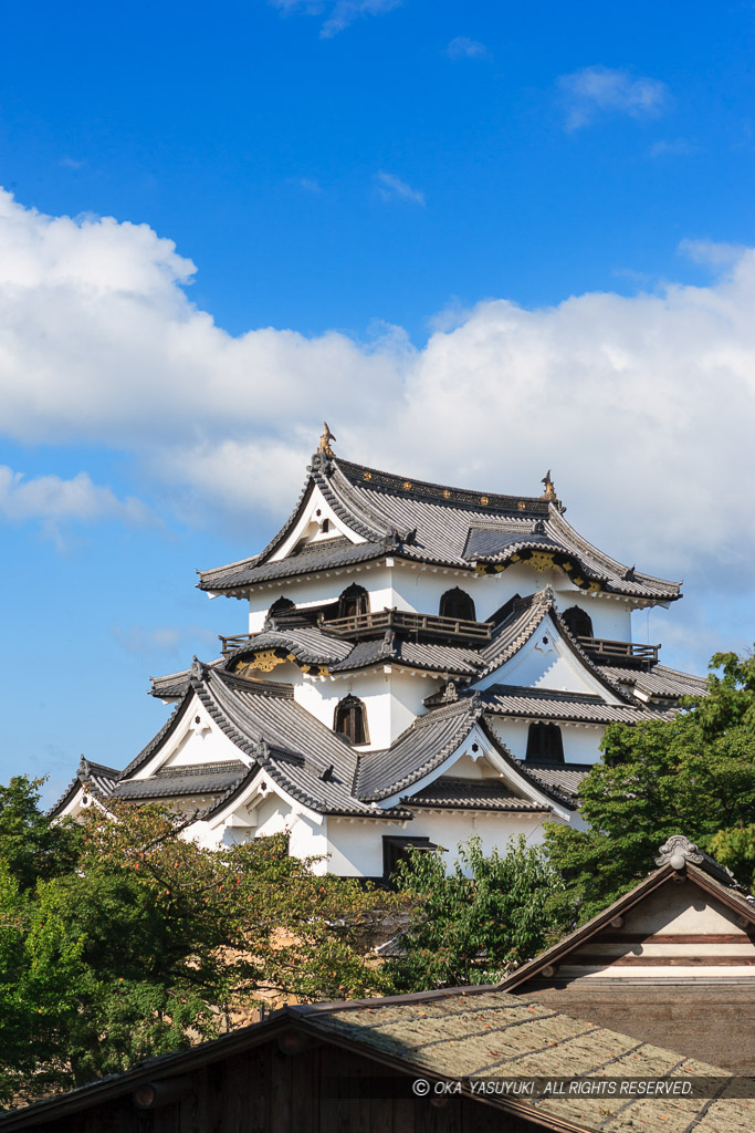 彦根城天守と夏