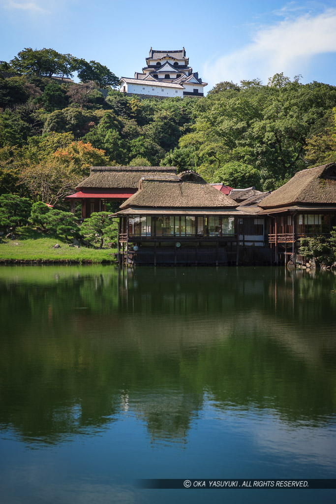 玄宮園から彦根城天守を望む：夏