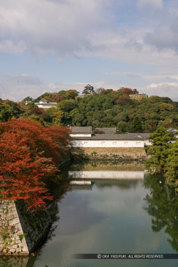 彦根城佐和口多聞櫓・天秤櫓・天守を望む・秋｜高解像度画像サイズ：1933 x 2900 pixels｜写真番号：258-5815_IMG｜撮影：Canon EOS D60