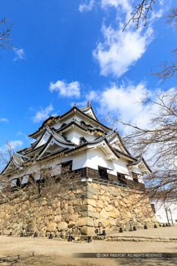 彦根城天守東面・南面｜高解像度画像サイズ：4480 x 6720 pixels｜写真番号：5D4A5506｜撮影：Canon EOS 5D Mark IV