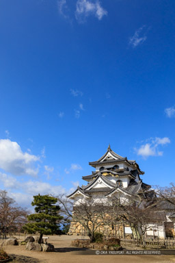 彦根城天守東面と青空｜高解像度画像サイズ：4264 x 6395 pixels｜写真番号：5D4A5534｜撮影：Canon EOS 5D Mark IV