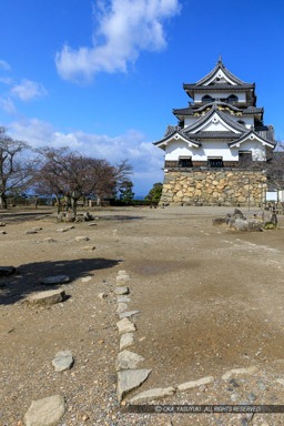 彦根城本丸御殿礎石と天守｜高解像度画像サイズ：4013 x 6020 pixels｜写真番号：5D4A5547｜撮影：Canon EOS 5D Mark IV