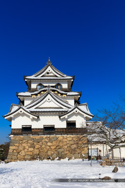 彦根城天守と雪｜高解像度画像サイズ：5727 x 8591 pixels｜写真番号：5DSA3703｜撮影：Canon EOS 5DS