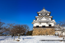 彦根城天守と雪｜高解像度画像サイズ：7873 x 5262 pixels｜写真番号：5DSA3706｜撮影：Canon EOS 5DS