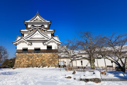 彦根城天守と雪｜高解像度画像サイズ：7907 x 5272 pixels｜写真番号：5DSA3707｜撮影：Canon EOS 5DS